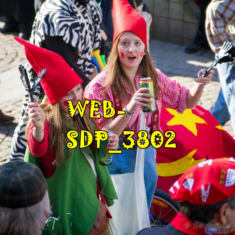 WEB SDP 3802