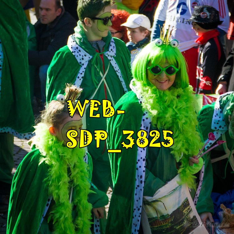 WEB SDP 3825