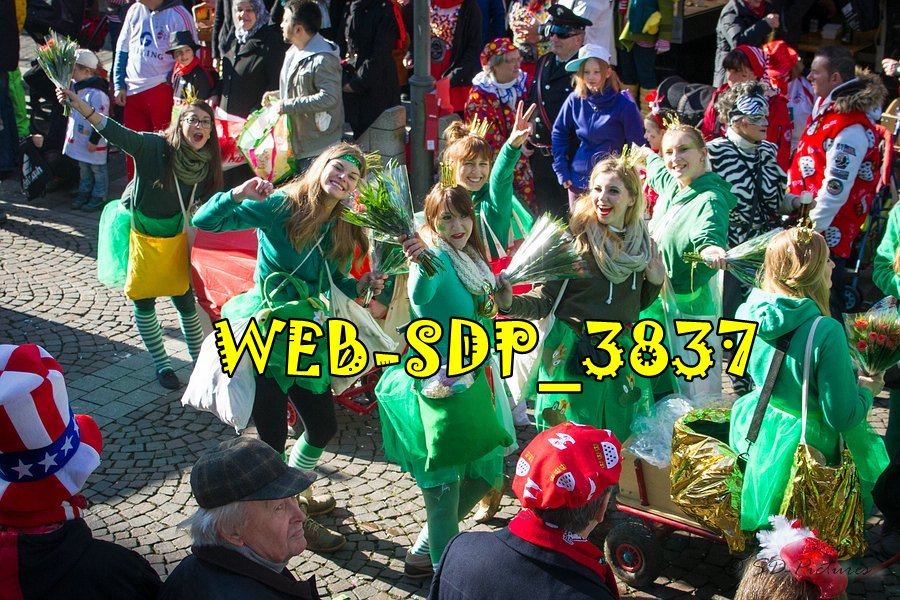WEB SDP 3837