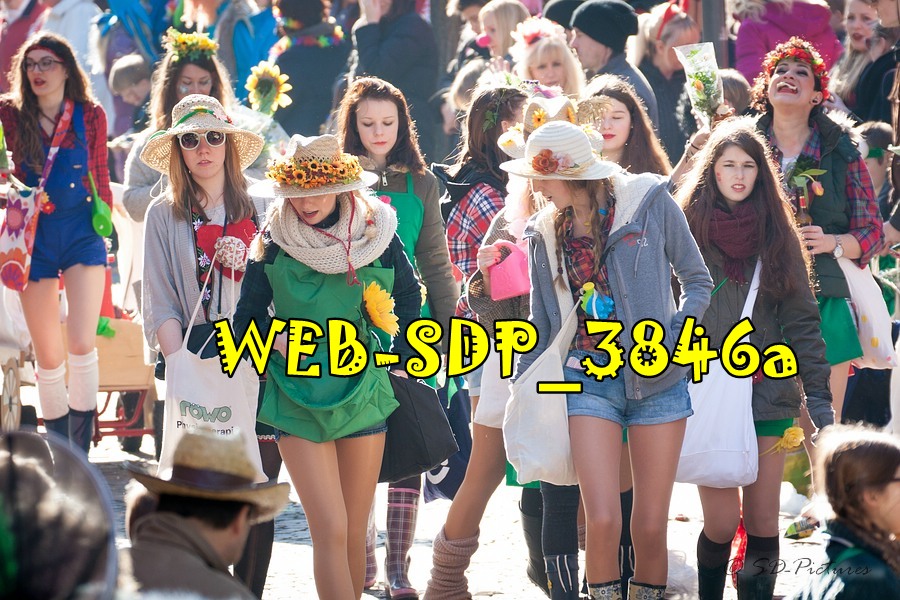 WEB SDP 3846a