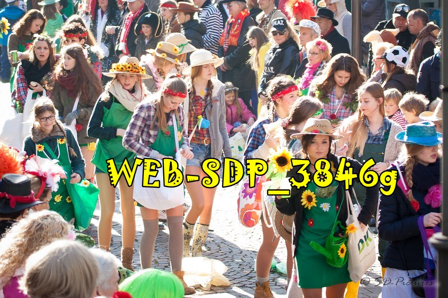 WEB SDP 3846g
