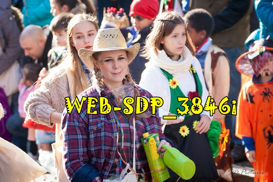 WEB SDP 3846i