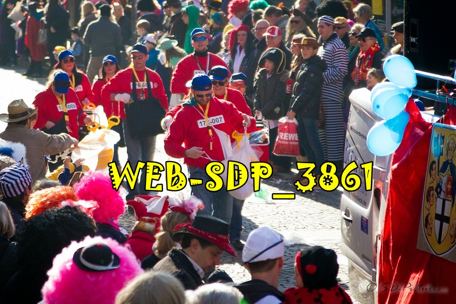 WEB SDP 3861