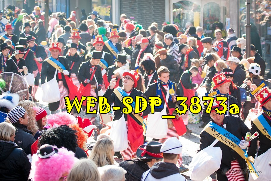 WEB SDP 3873a