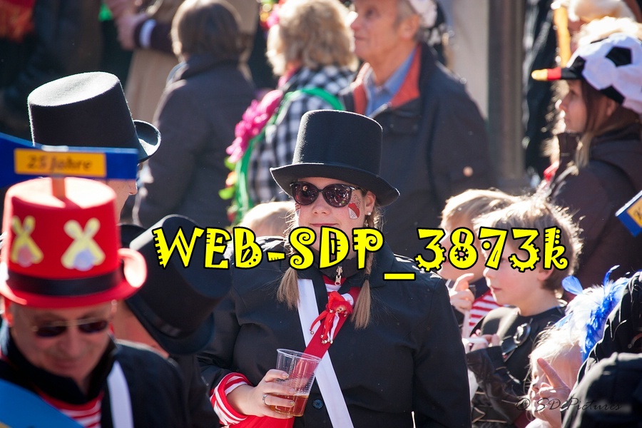 WEB SDP 3873k