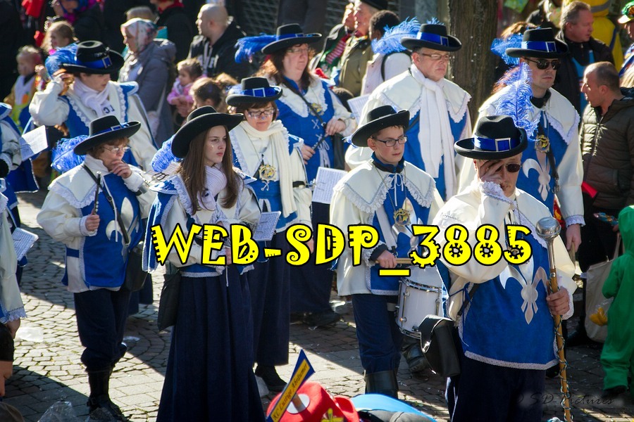 WEB SDP 3885