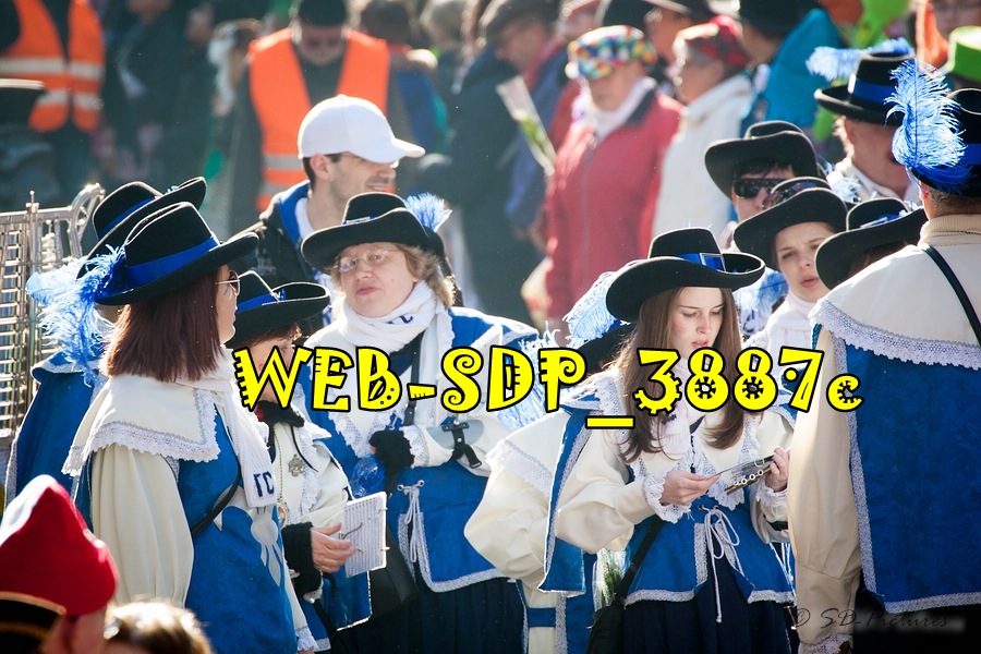 WEB SDP 3887c