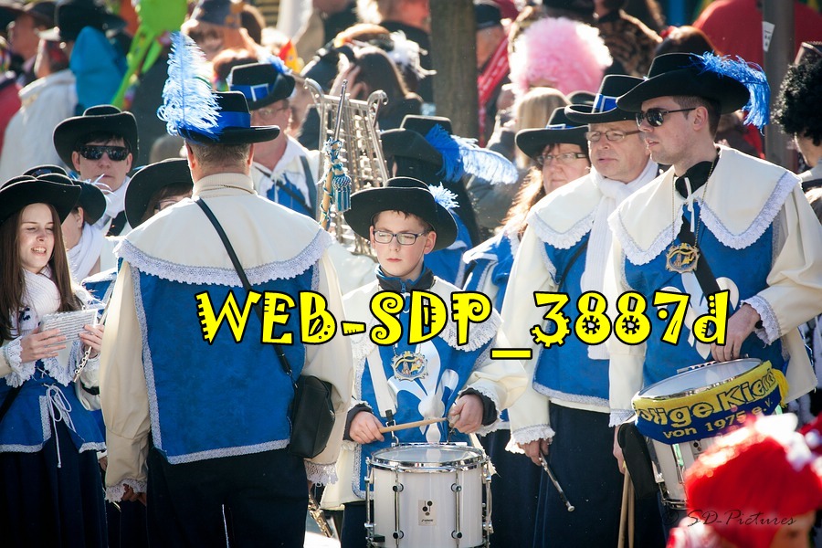 WEB SDP 3887d