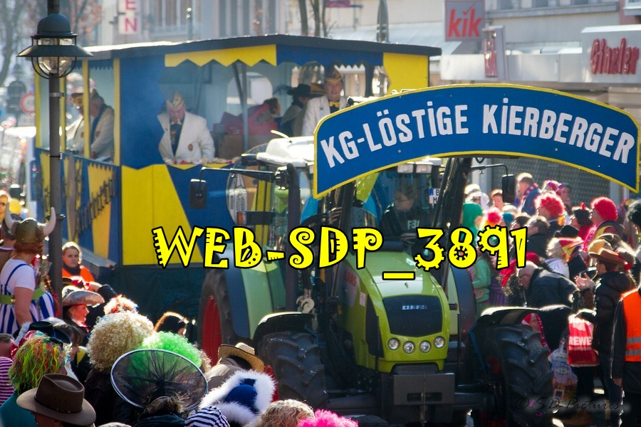 WEB SDP 3891