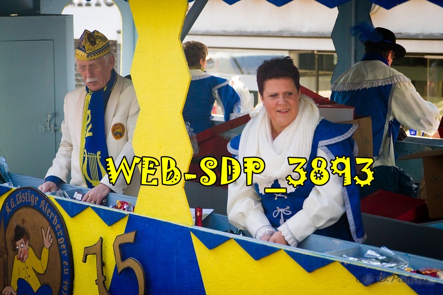 WEB SDP 3893