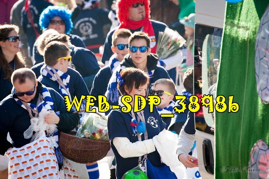 WEB SDP 3898b