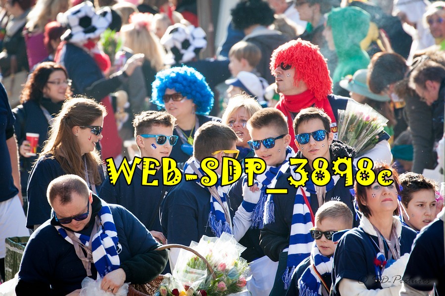 WEB SDP 3898c