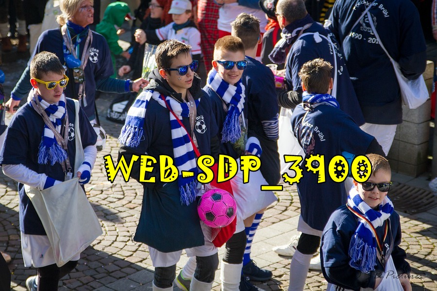 WEB SDP 3900