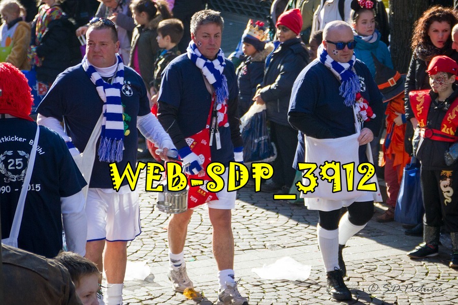 WEB SDP 3912