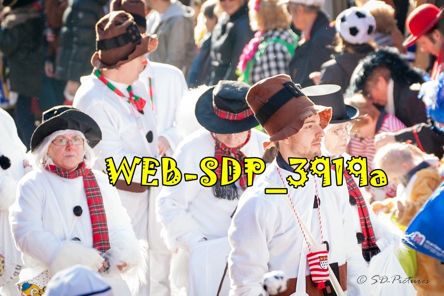 WEB SDP 3919a