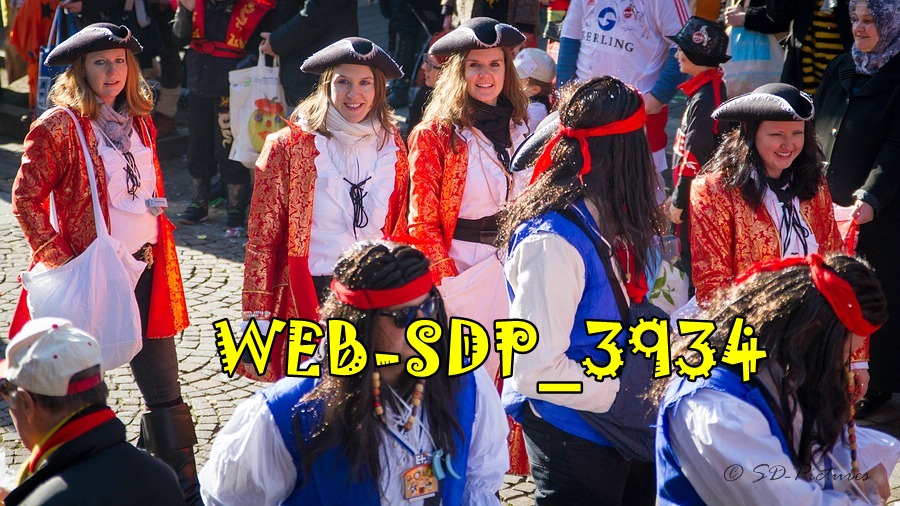 WEB SDP 3934