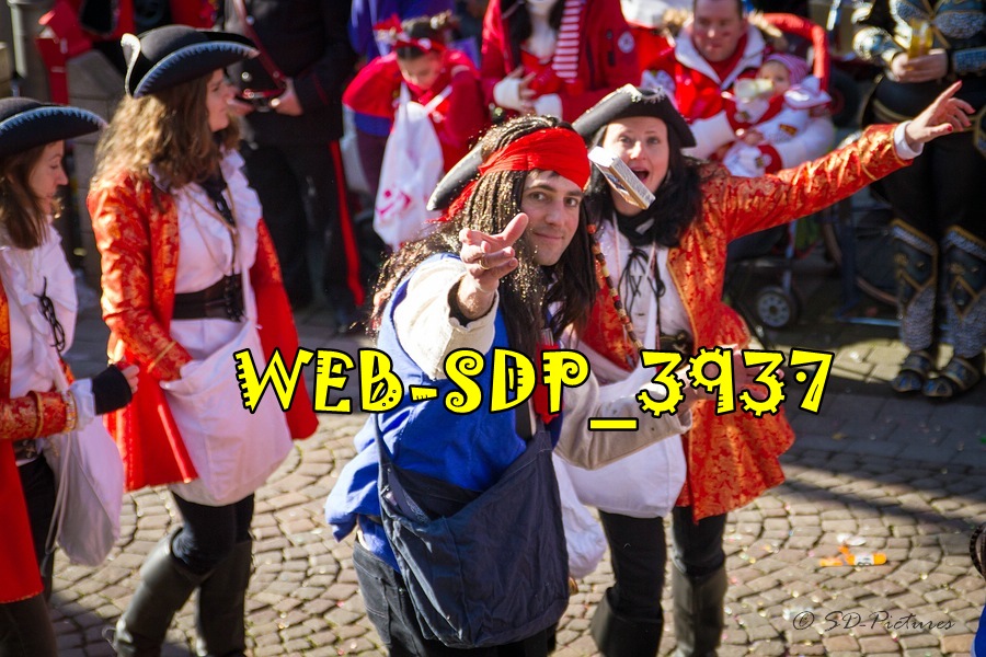 WEB SDP 3937