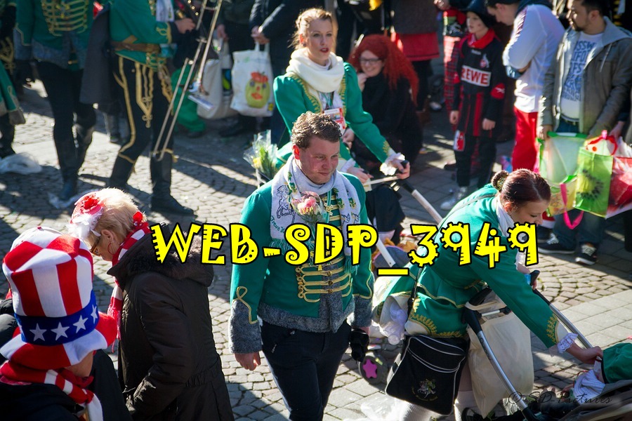 WEB SDP 3949