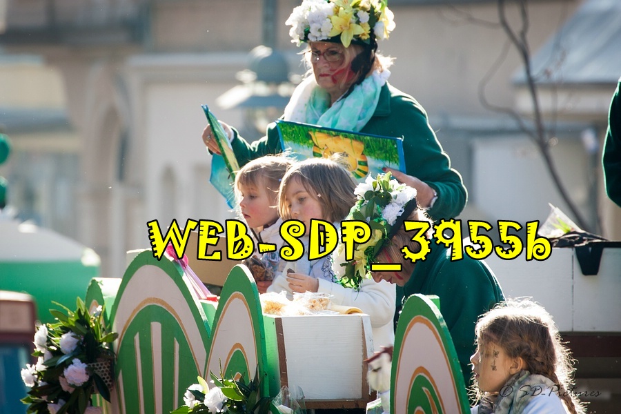 WEB SDP 3955b