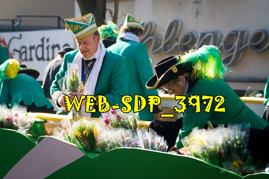 WEB SDP 3972