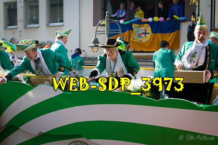 WEB SDP 3973