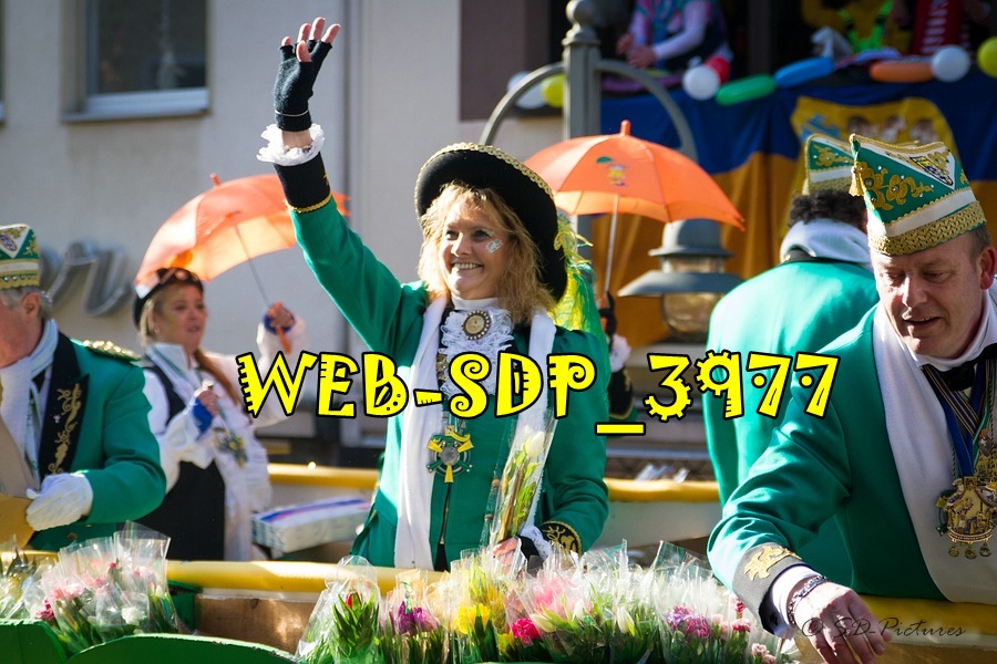 WEB SDP 3977
