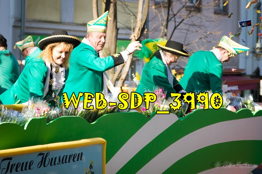 WEB SDP 3990