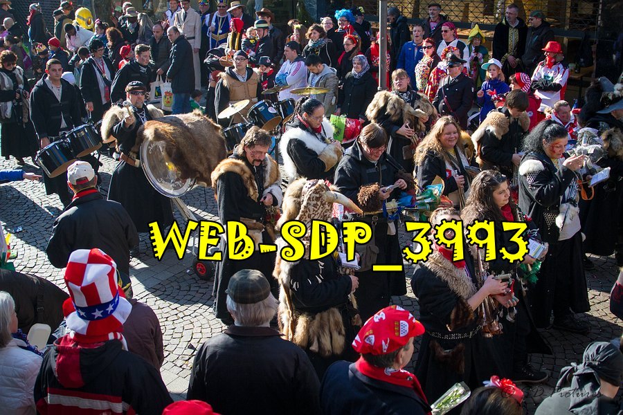 WEB SDP 3993