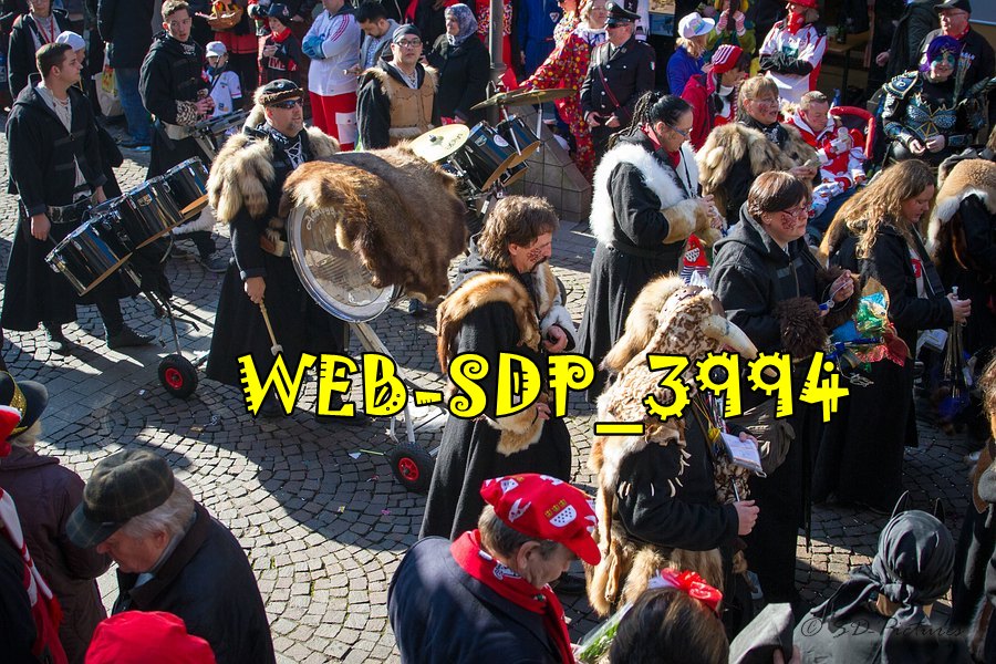 WEB SDP 3994