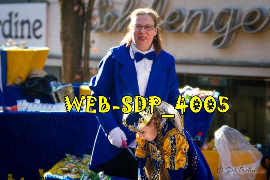 WEB SDP 4005