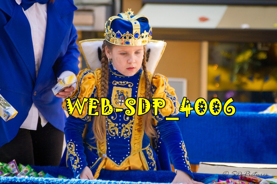 WEB SDP 4006