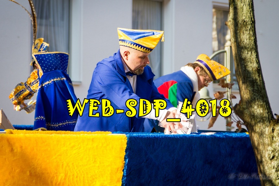 WEB SDP 4018
