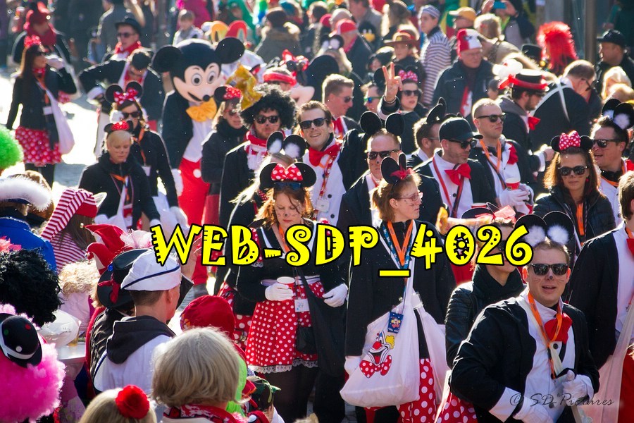 WEB SDP 4026