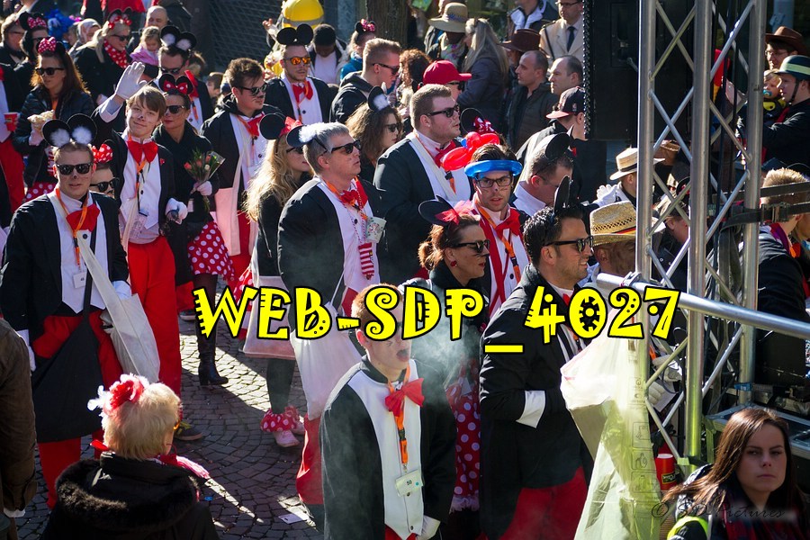 WEB SDP 4027