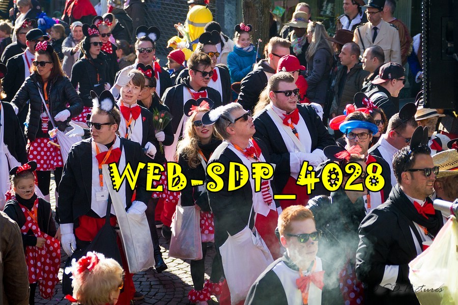 WEB SDP 4028