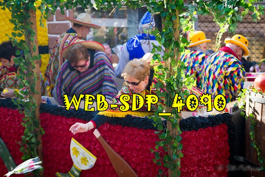WEB SDP 4090