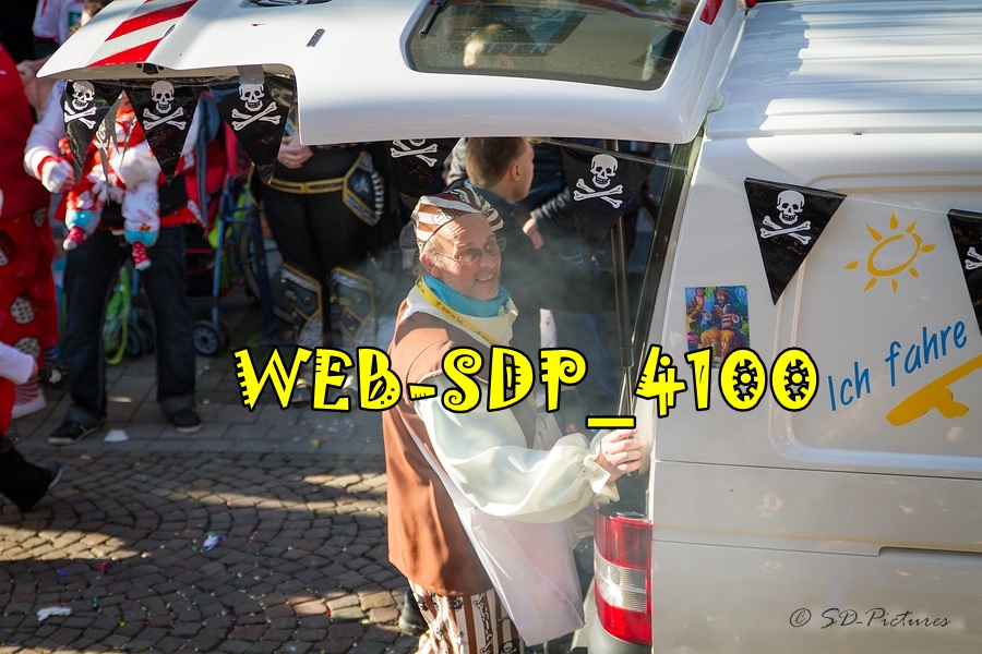 WEB SDP 4100