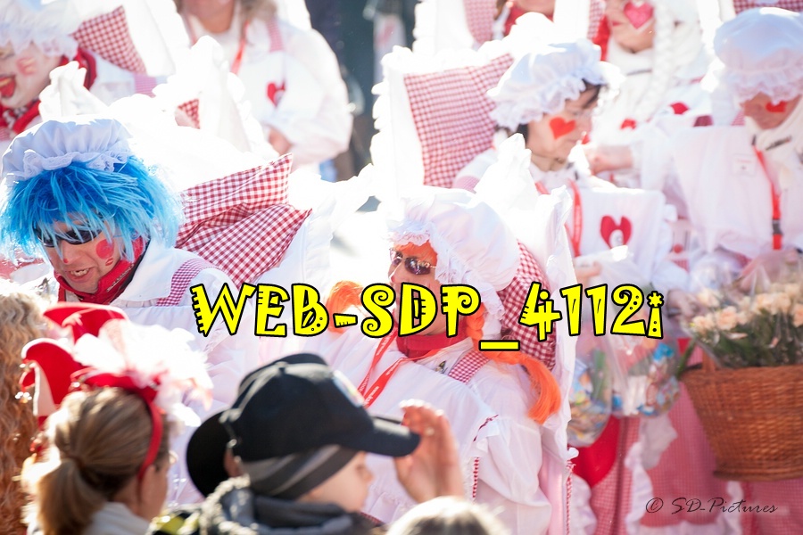 WEB SDP 4112i