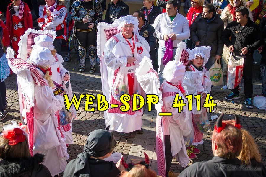 WEB SDP 4114