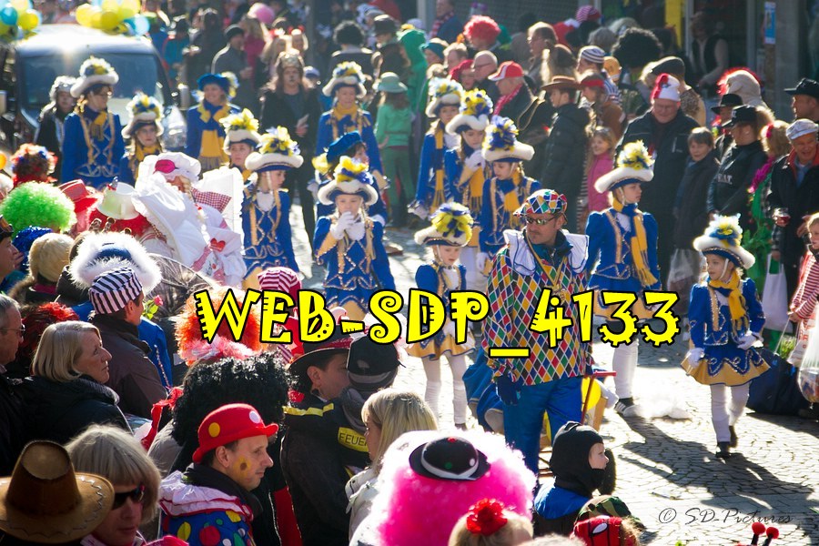 WEB SDP 4133