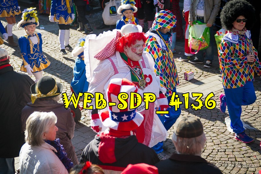 WEB SDP 4136