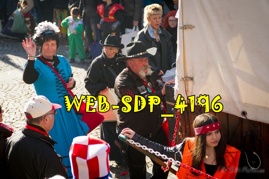 WEB SDP 4196