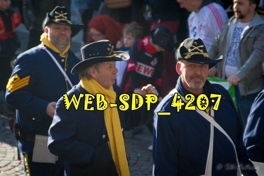 WEB SDP 4207
