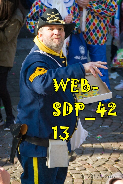 WEB SDP 4213