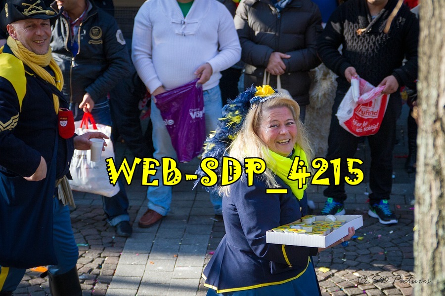 WEB SDP 4215