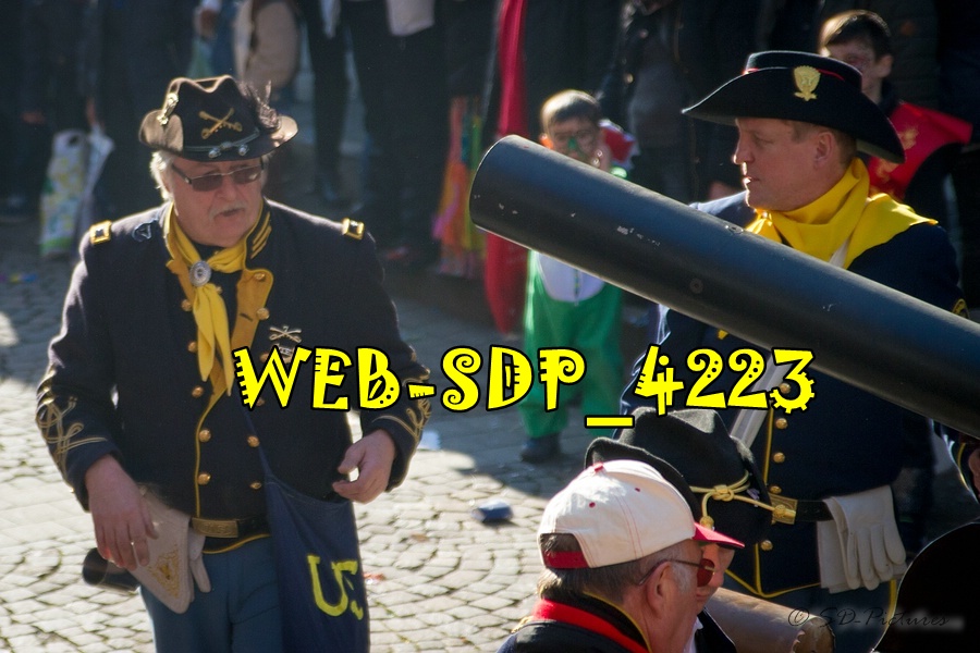 WEB SDP 4223