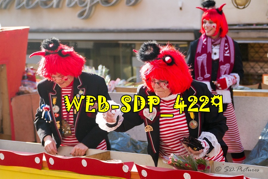 WEB SDP 4229