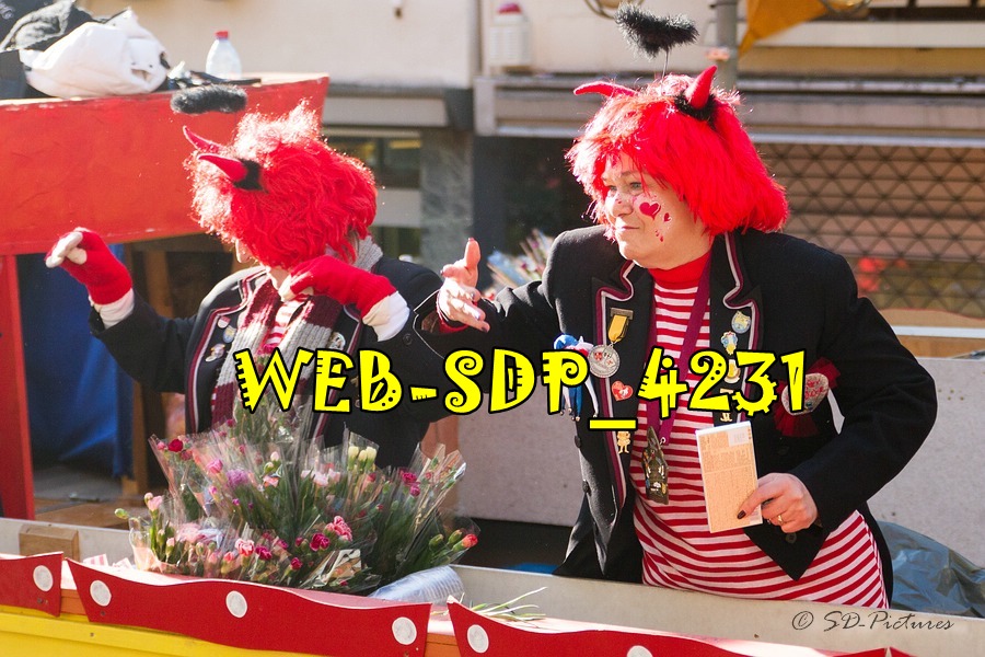 WEB SDP 4231