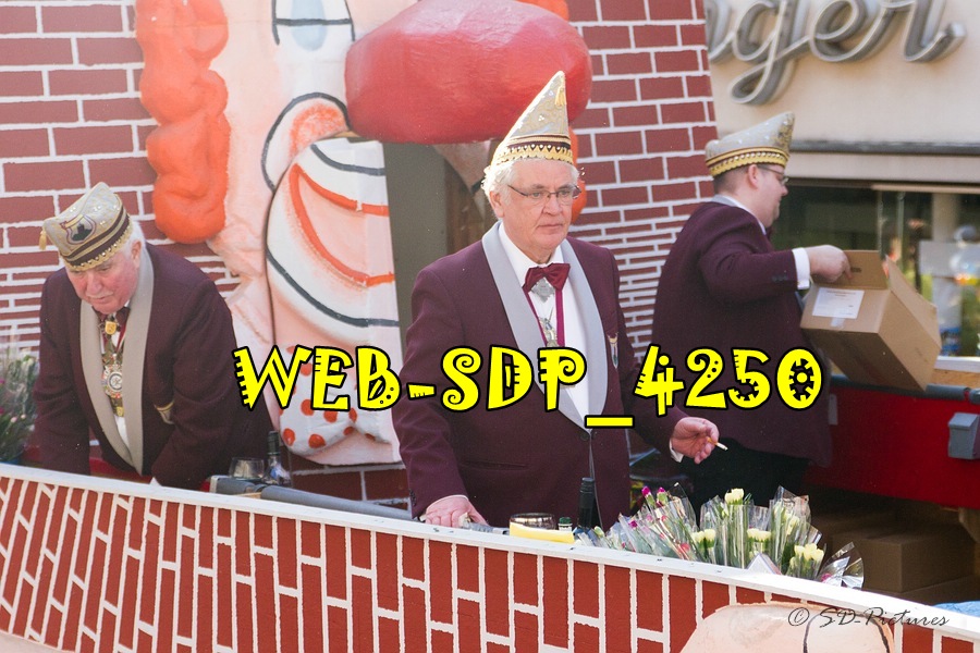 WEB SDP 4250