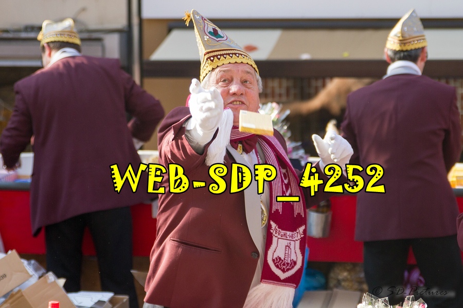 WEB SDP 4252
